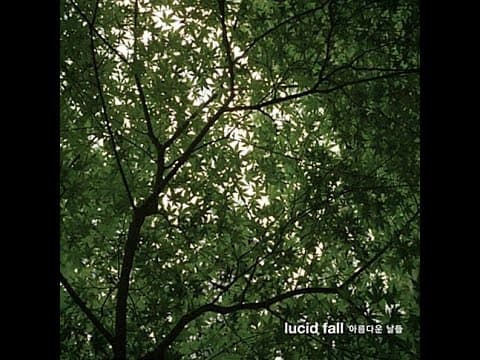 루시드 폴 - 아름다운 날들 앨범 커버
