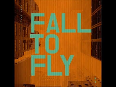 이승환 - Fall to Fly (After) 앨범 커버
