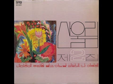 산울림 - 산울림 제2집 앨범 커버